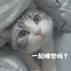 久久精品免费老师自慰
